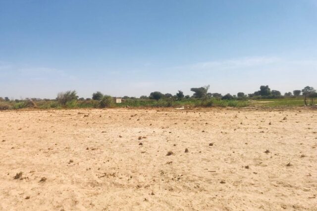 Terrain Industriel de 2 Hectares en bordure de la route vers Fissel – Thiadiaye