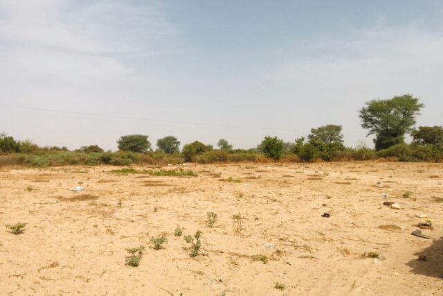 Terrain Industriel de 2 Hectares en bordure de la route vers Fissel – Thiadiaye