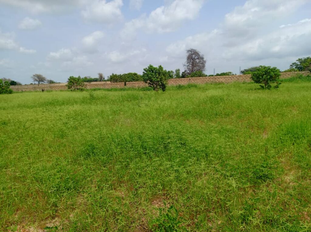 Verger de 2,07 Hectares vers Thiènaba – Thiès