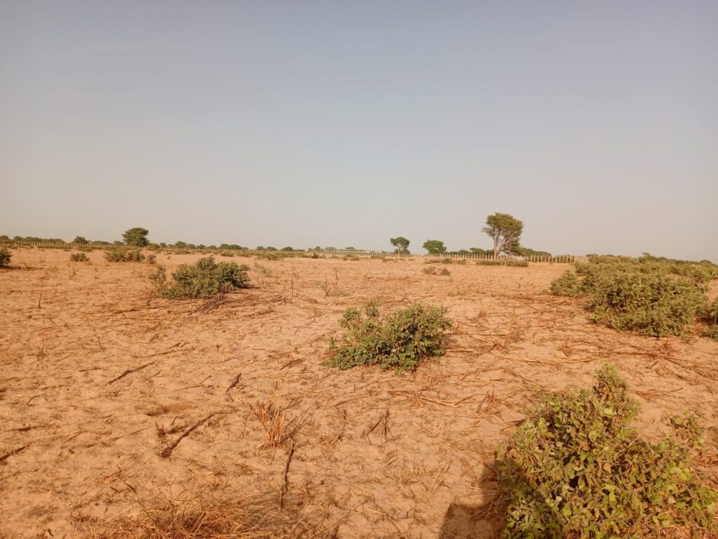 Terrain Agricole de 2,58 Hectares vers Tassette – Thiès