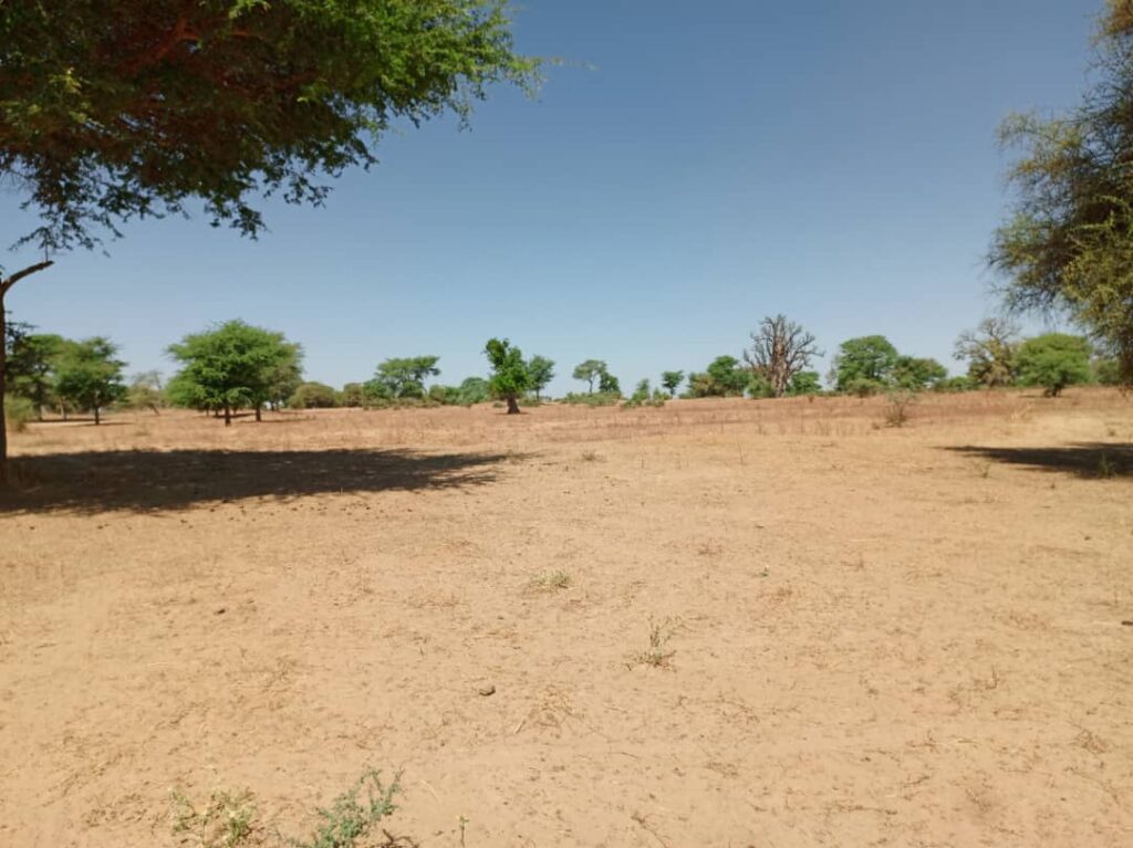 Terrain Agricole de 1,91 Hectare vers Tassette – Thiès