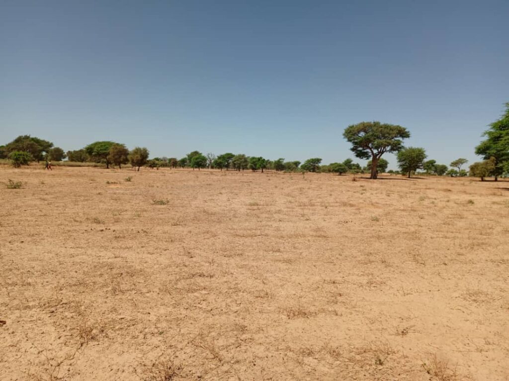 Terrain Agricole de 1,91 Hectare vers Tassette – Thiès
