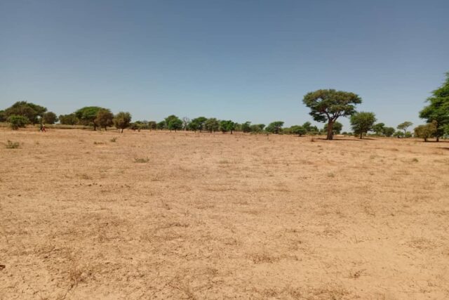 Terrain Agricole de 1,91 Hectare vers Tassette – Thiès