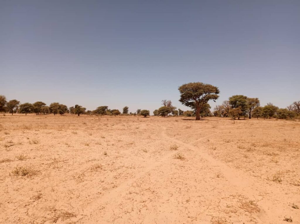 Terrain Agricole de 1,91 Hectare vers Tassette – Thiès