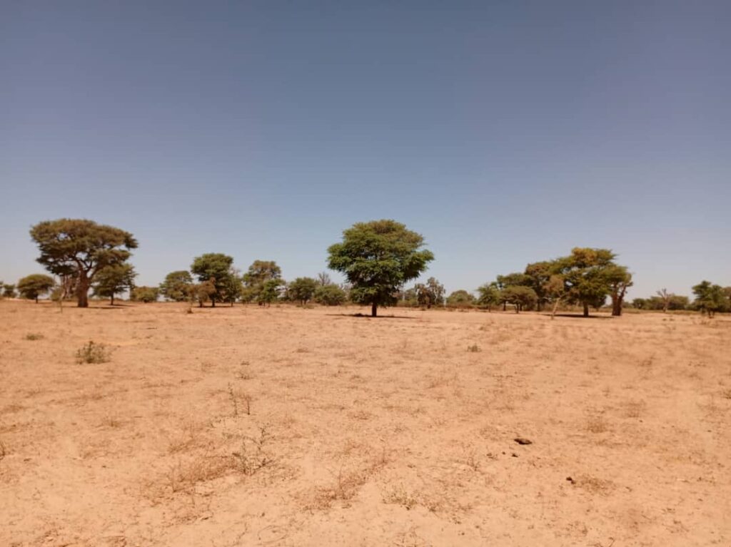 Terrain Agricole de 1,91 Hectare vers Tassette – Thiès