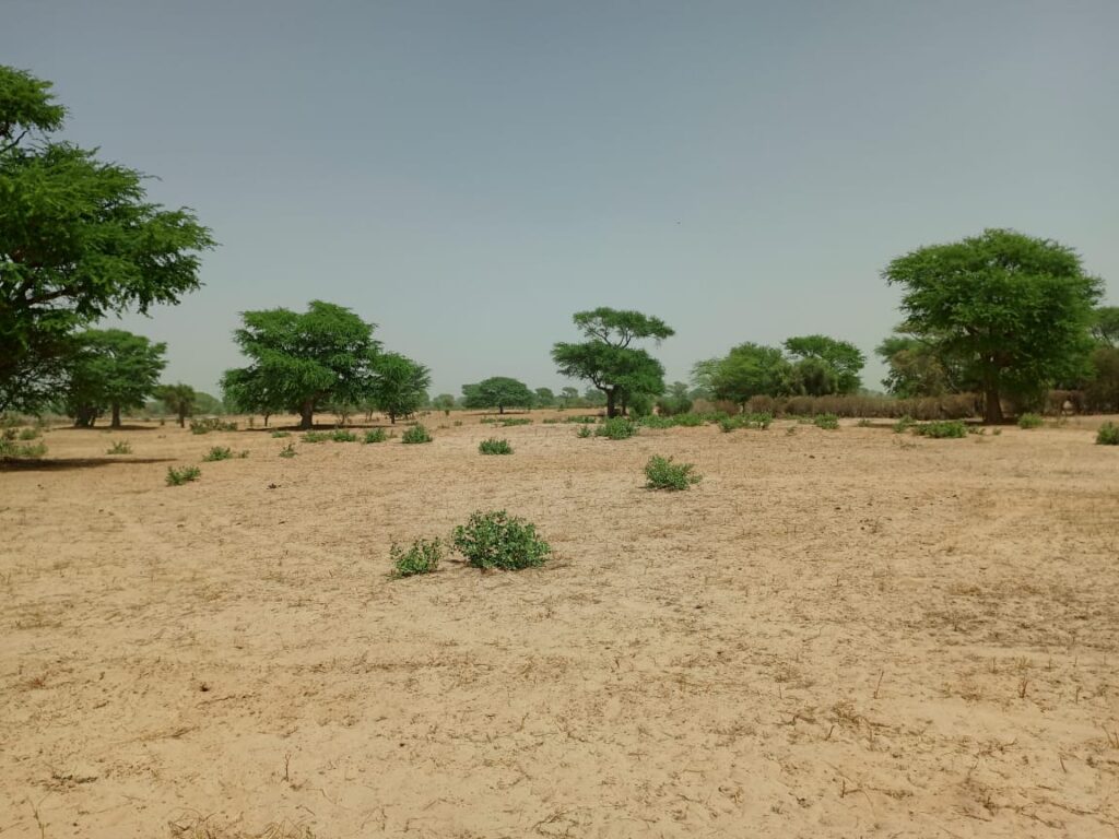 Terrain Agricole de 1,06 Hectare vers Tassette – Thiès