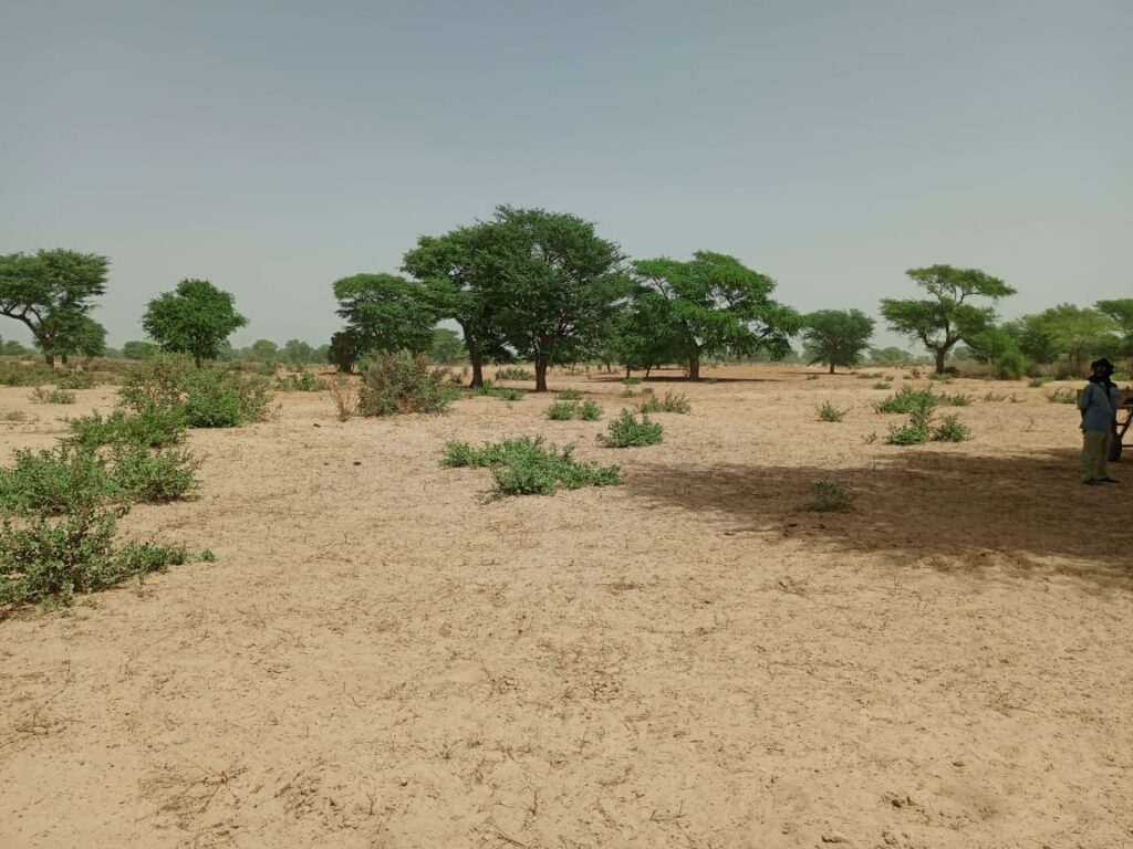 Terrain Agricole de 1,06 Hectare vers Tassette – Thiès