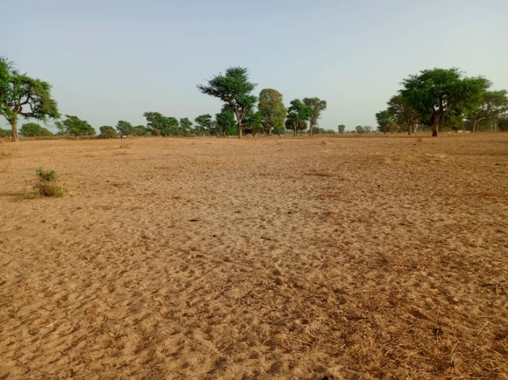Terrain Agricole de 2,43 Hectares vers Tassette – Thiès