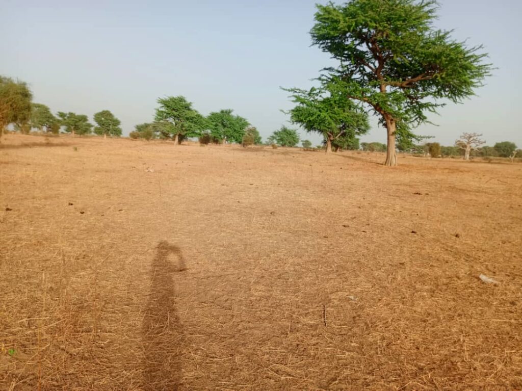 Terrain Agricole de 2,43 Hectares vers Tassette – Thiès