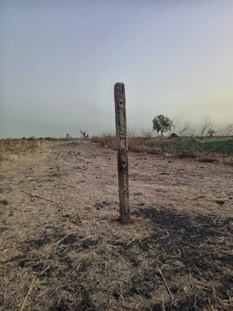 Terrain Agricole de 1 Hectare vers Nguéniène – Mbour