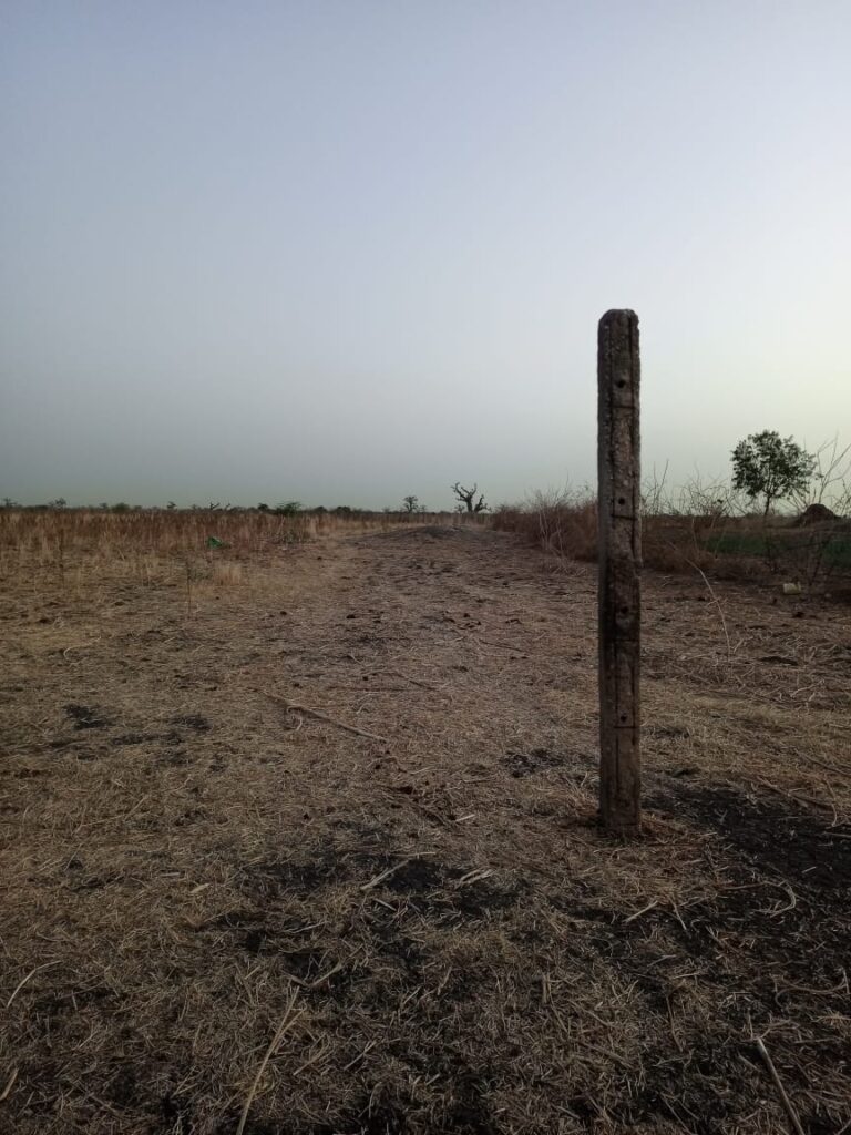 Terrain Agricole de 1 Hectare vers Nguéniène – Mbour