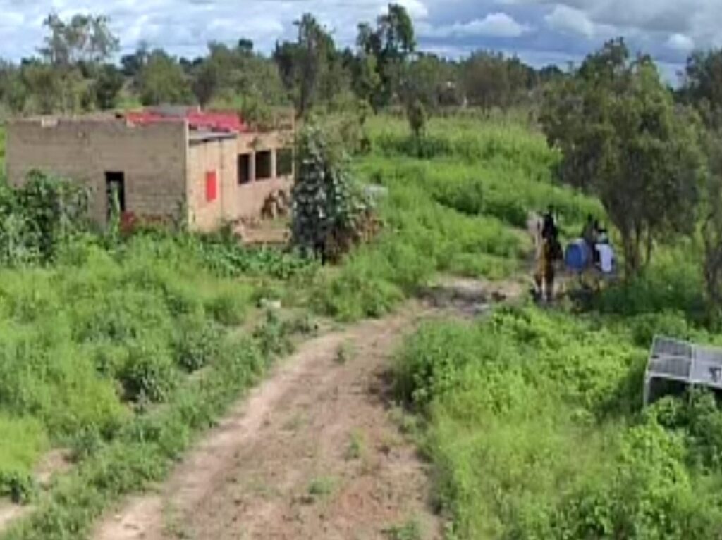 Verger de 4 Hectares vers Ndame – Koumpentoum