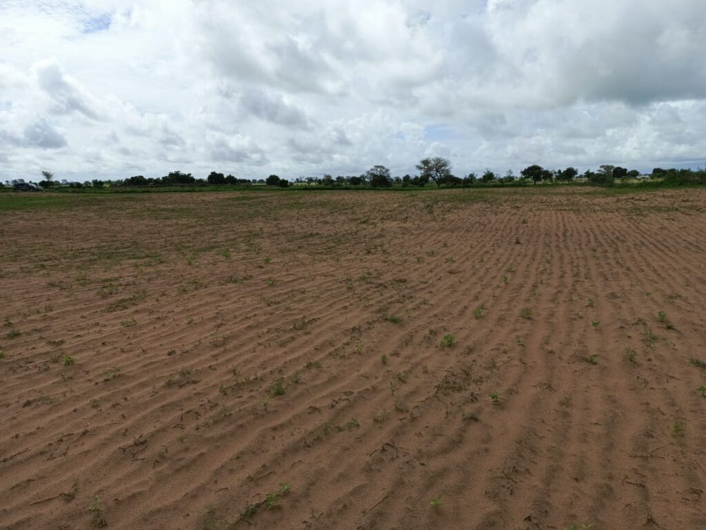 Terrain Agricole de 1 Hectare vers Tassette – Thiès
