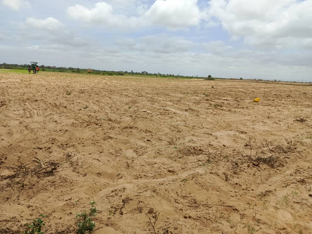 Terrain Agricole de 1 Hectare vers Tassette – Thiès