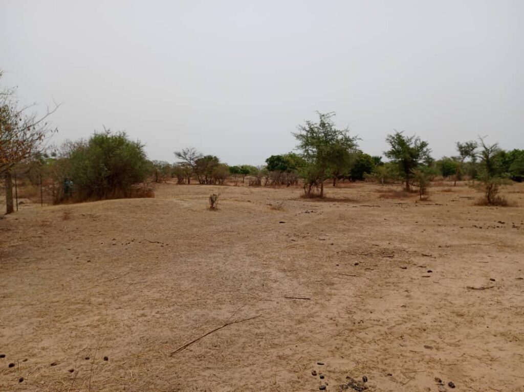 Terrain Agricole de 9 815 m² vers Notto Diobass – Thiès