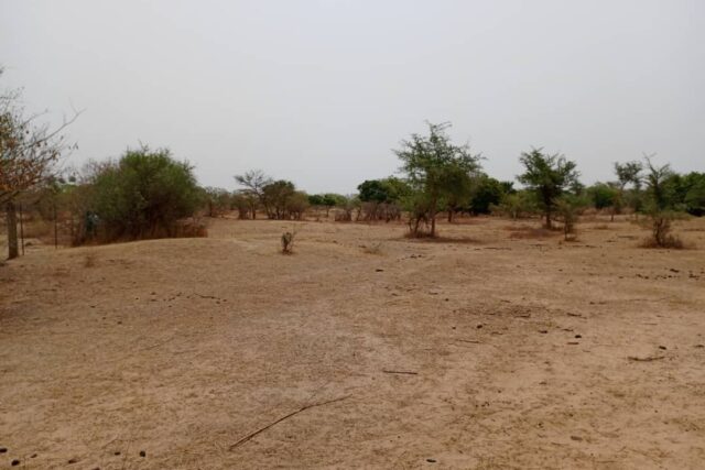 Terrain Agricole de 9 813 m² vers Notto Diobass – Thiès