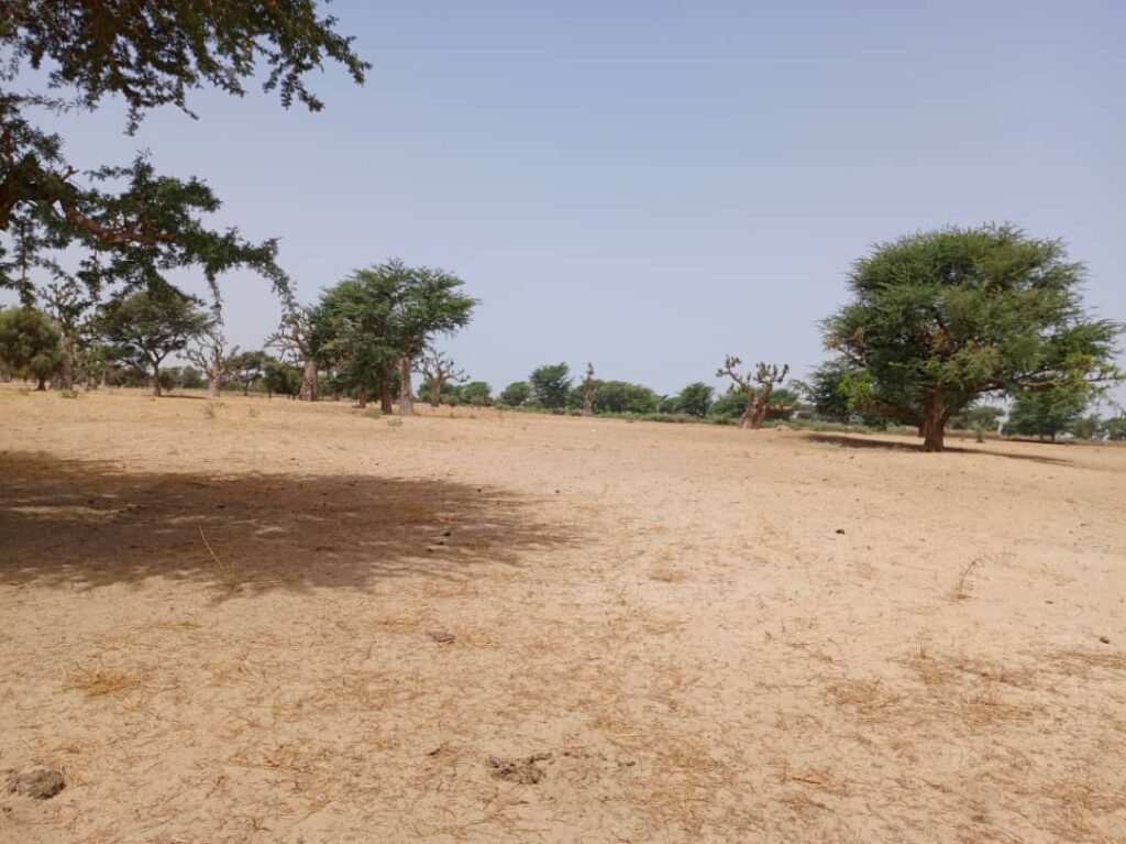 Terrain Agricole de 1,05 Hectare vers Tassette – Thiès