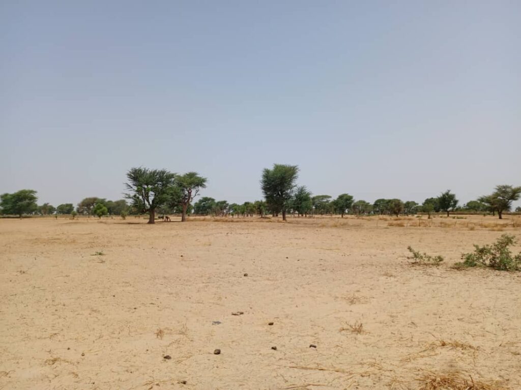 Terrain Agricole de 1,05 Hectare vers Tassette – Thiès