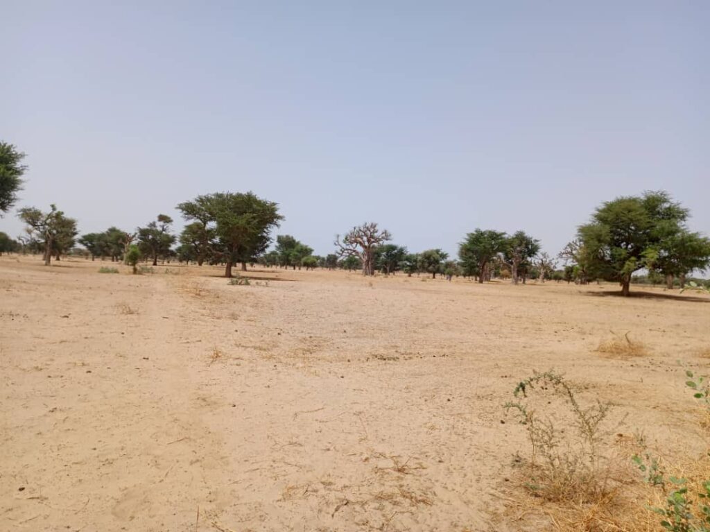 Terrain Agricole de 1,05 Hectare vers Tassette – Thiès