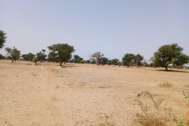 Terrain Agricole de 1,05 Hectare vers Tassette – Thiès