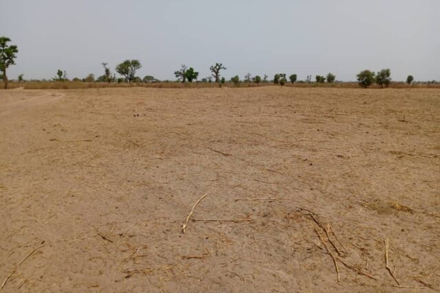 Terrain Agricole de 3,20 Hectares vers Tassette – Thiès