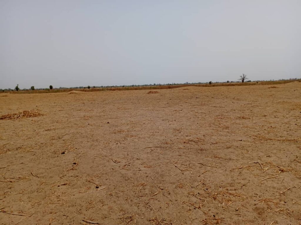 Terrain Agricole de 3,20 Hectares vers Tassette – Thiès