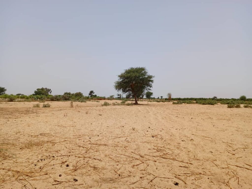 Terrain Agricole de 2,04 Hectares vers Tassette – Thiès