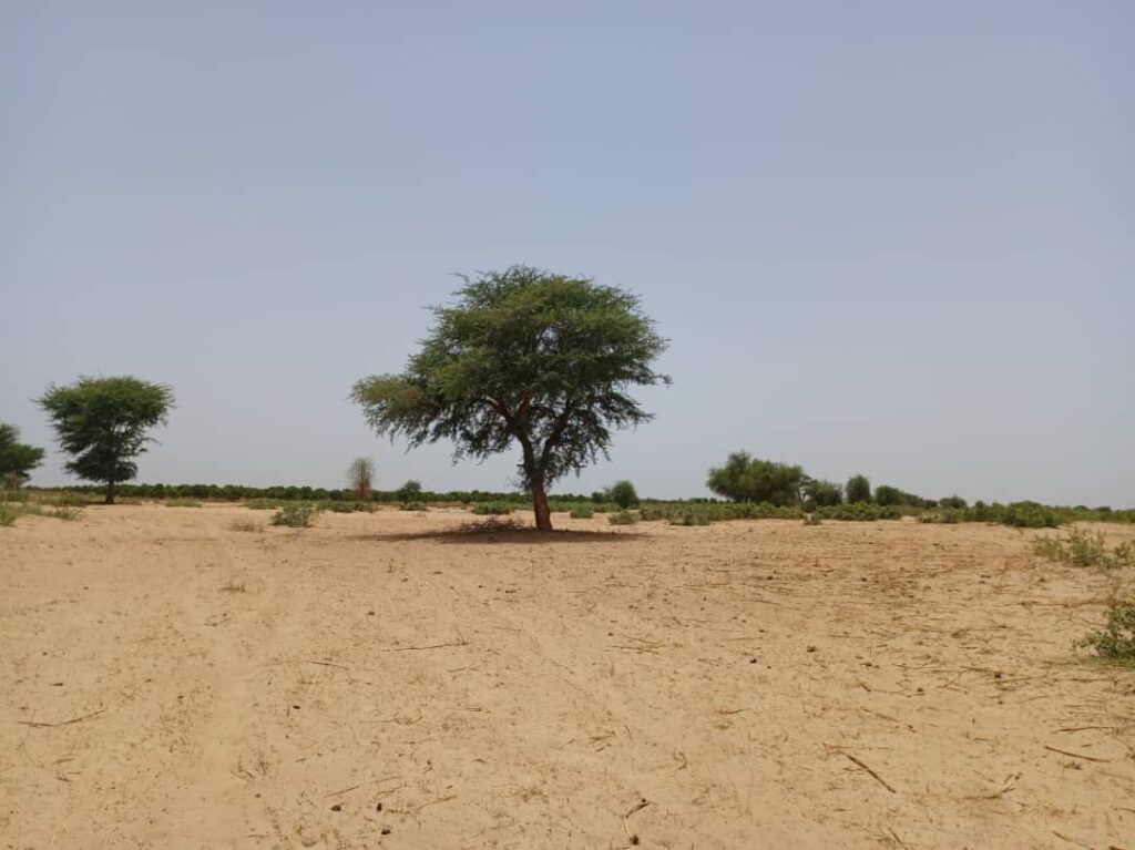 Terrain Agricole de 2,04 Hectares vers Tassette – Thiès