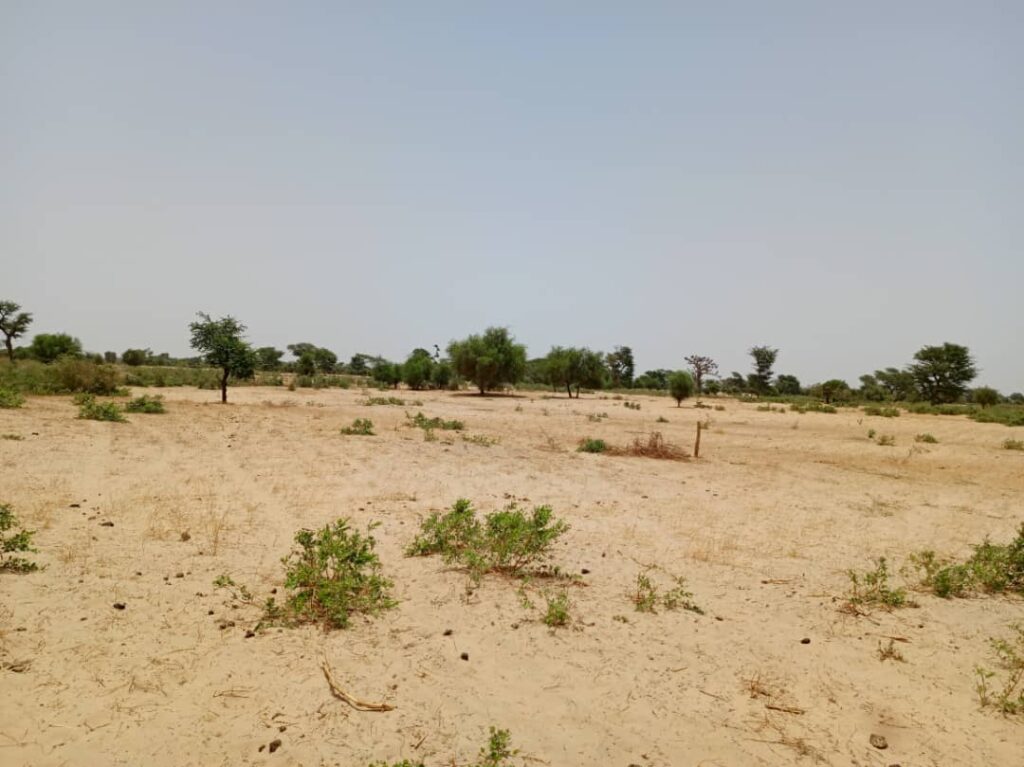 Terrain Agricole de 2,04 Hectares vers Tassette – Thiès