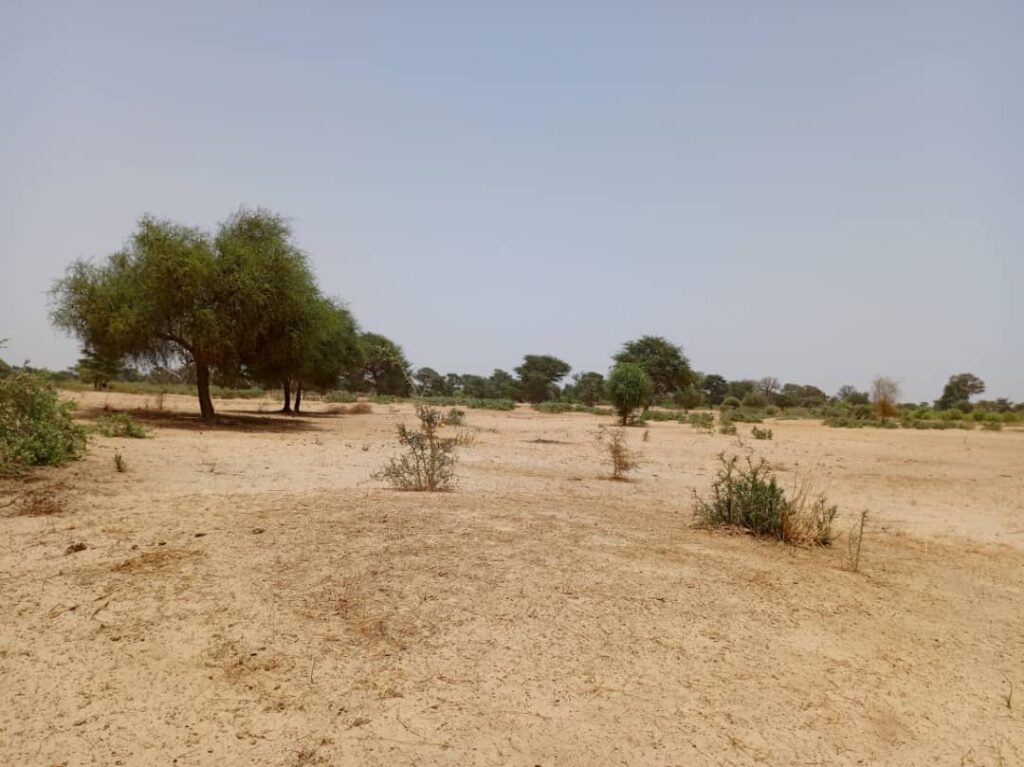 Terrain Agricole de 2,04 Hectares vers Tassette – Thiès