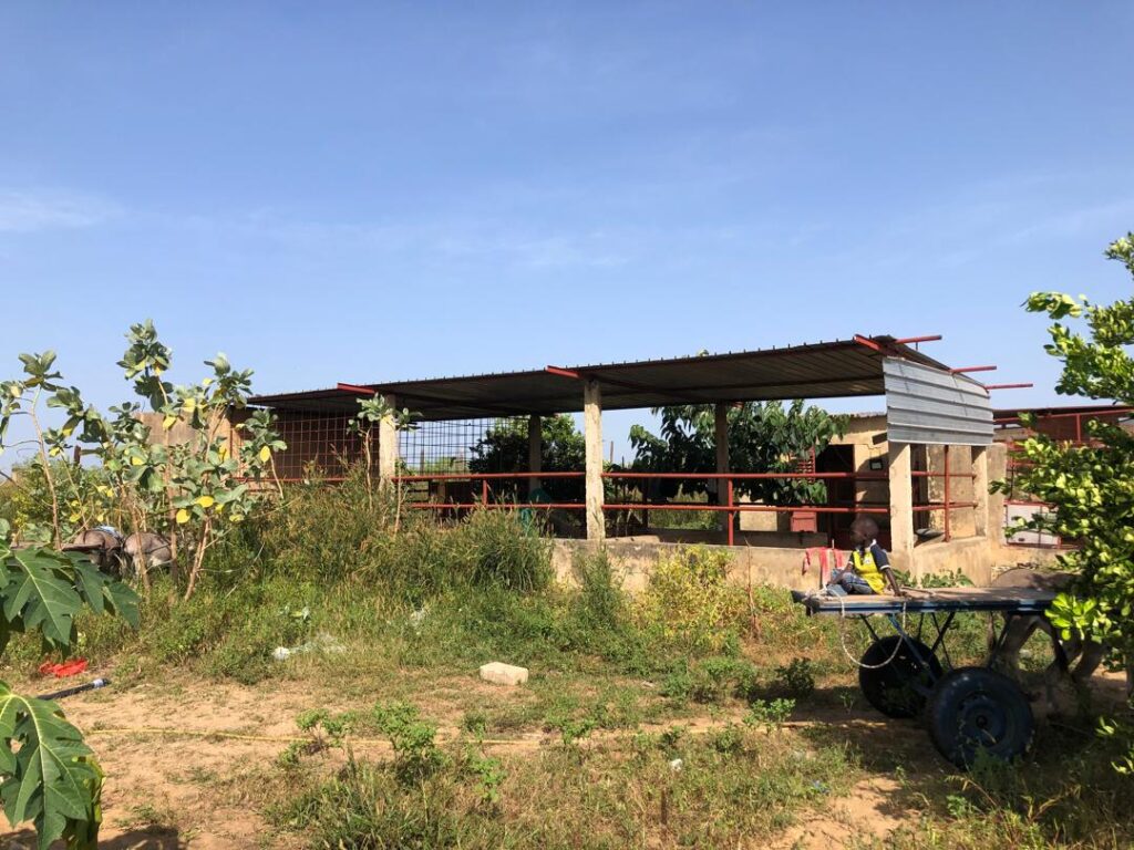 Exploitation Agricole de 4,20 Hectares vers Tassette – Thiès