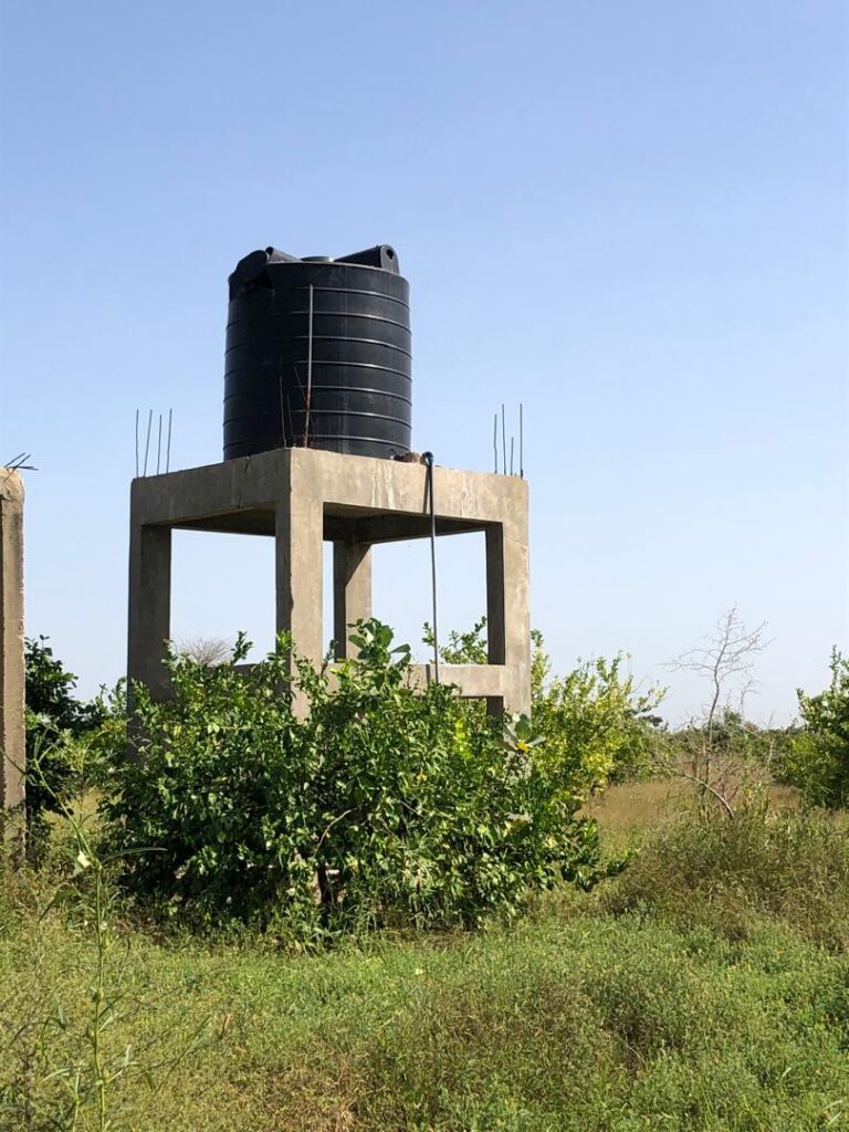 Exploitation Agricole de 4,20 Hectares vers Tassette – Thiès