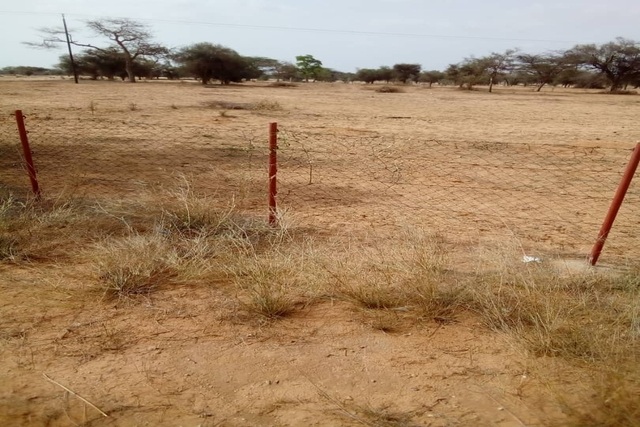 Verger de 2,94 Hectares vers Ngourane Ouolof – Kébémer