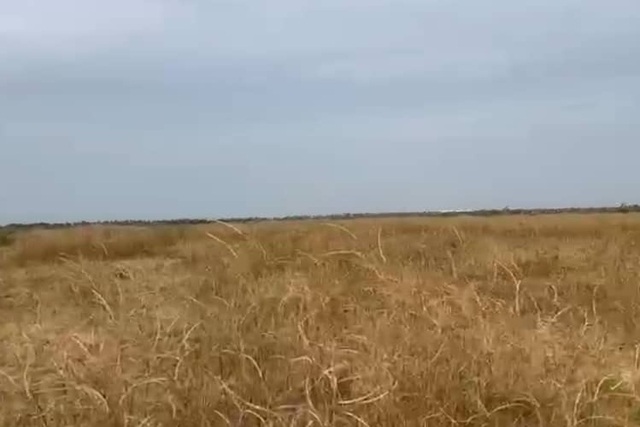 Terrain Industriel de 8,52 Hectares en bordure de la route vers Nguéniène – Mbour