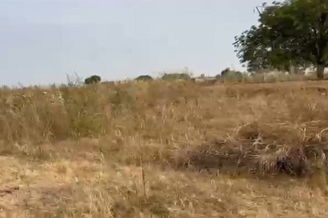 Terrain Industriel de 8,52 Hectares en bordure de la route vers Nguéniène – Mbour