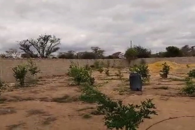 Verger de 1 Hectare vers Tassette – Thiès