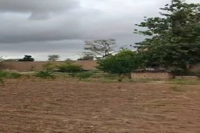 Verger de 1 Hectare vers Tassette – Thiès