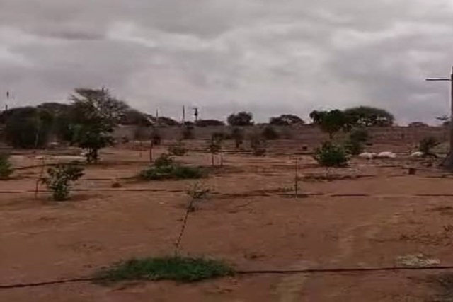 Verger de 1 Hectare vers Tassette – Thiès