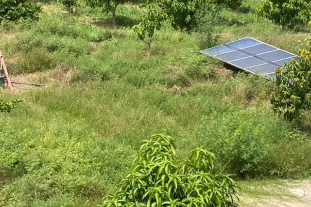 Exploitation agricole de 2,50 Hectares vers Sandiara – Mbour