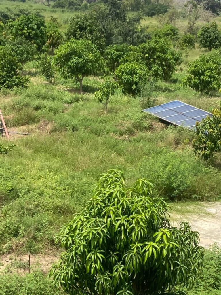 Exploitation agricole de 2,50 Hectares vers Sandiara – Mbour