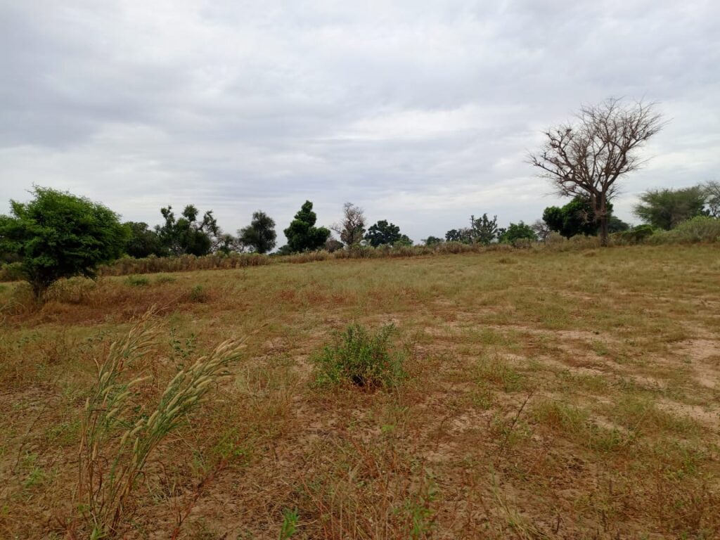 Terrain Agricole de 9 012 m² vers Tassette – Thiès