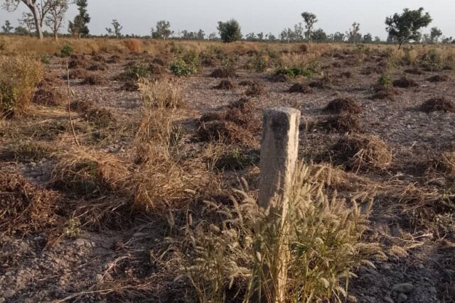 Terrain Agricole de 8 hectares vers Pass Koto – Koumpentoum