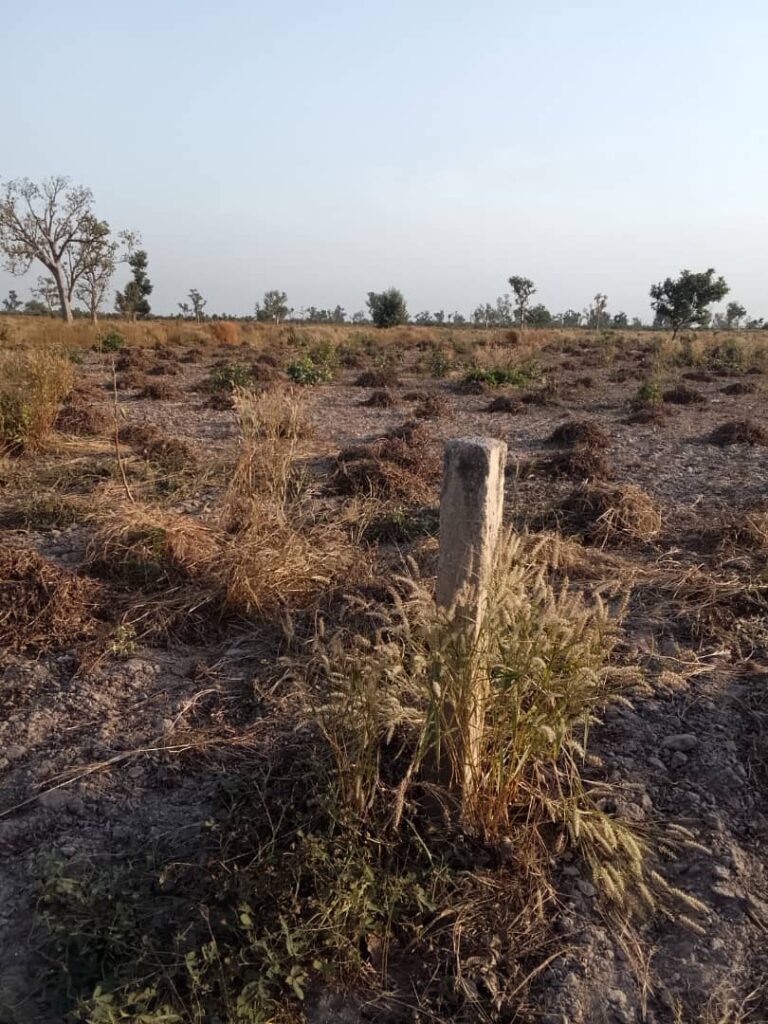 Terrain Agricole de 8 hectares vers Pass Koto – Koumpentoum