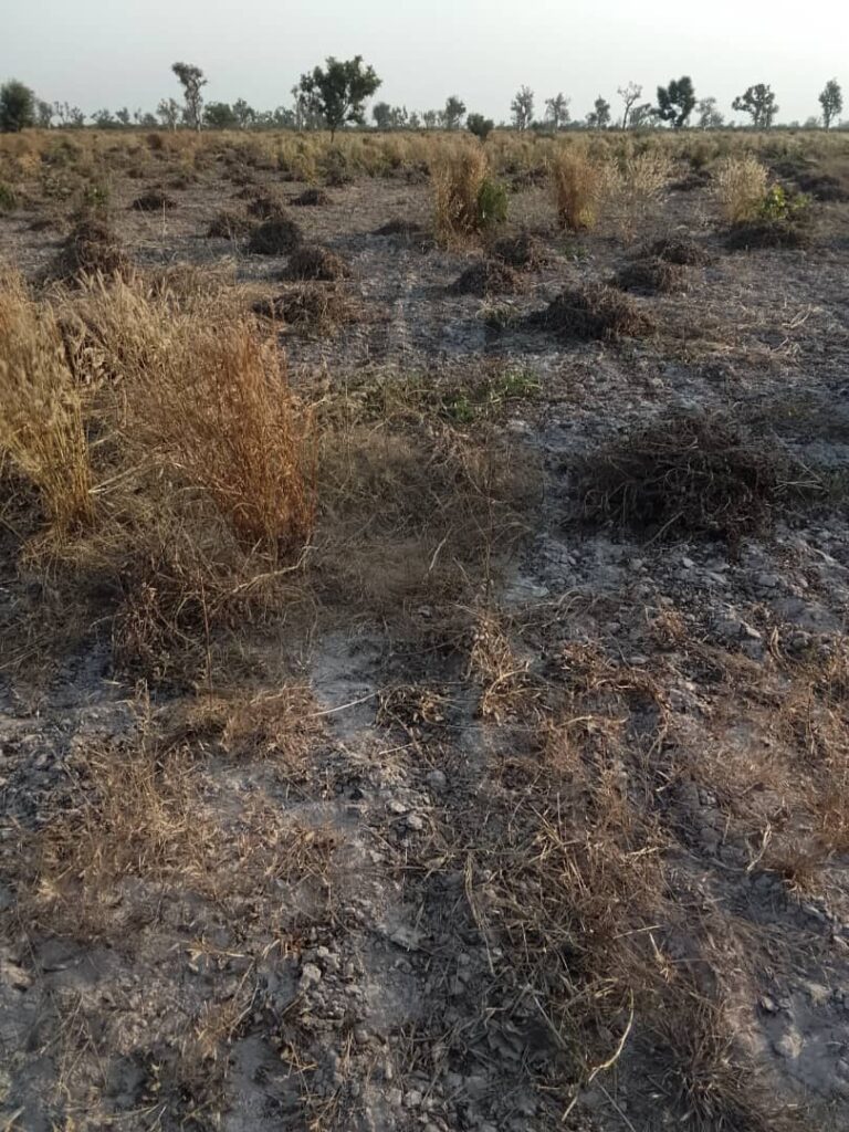 Terrain Agricole de 8 hectares vers Pass Koto – Koumpentoum