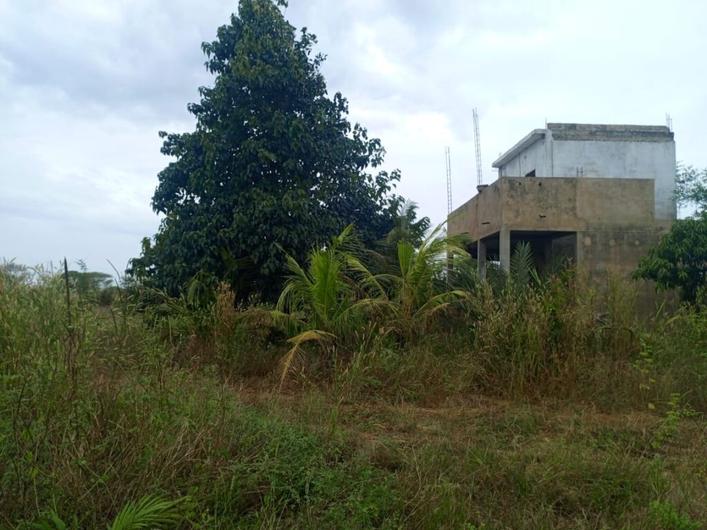 Verger de 1,87 Hectare vers Tassette – Thiès