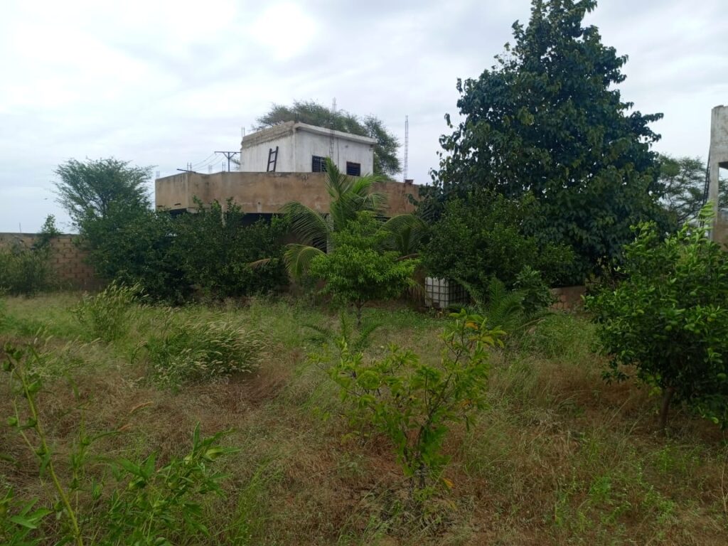 Verger de 1,87 Hectare vers Tassette – Thiès