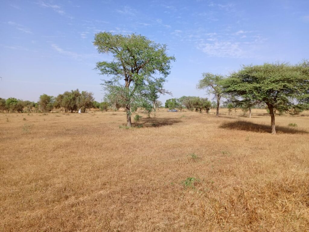 Terrain Industriel de 1,53 Hectare vers Sagatta – Kébémer