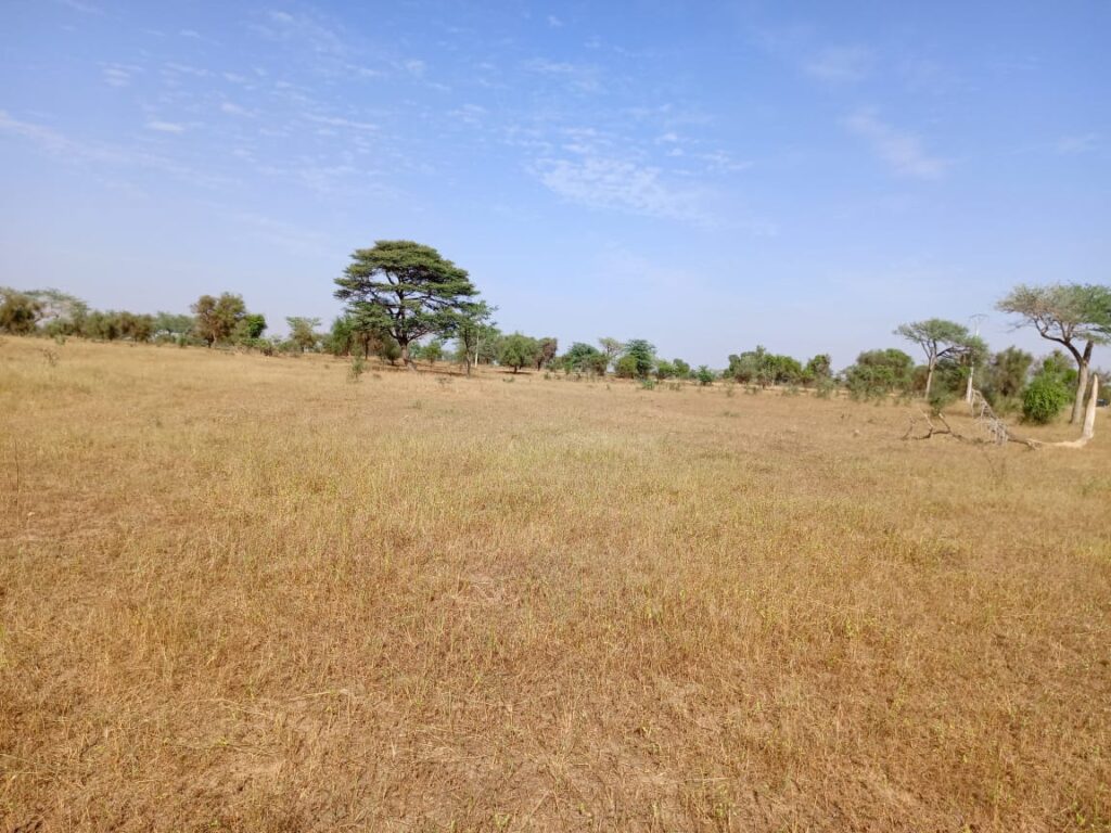 Terrain Industriel de 1,53 Hectare vers Sagatta – Kébémer