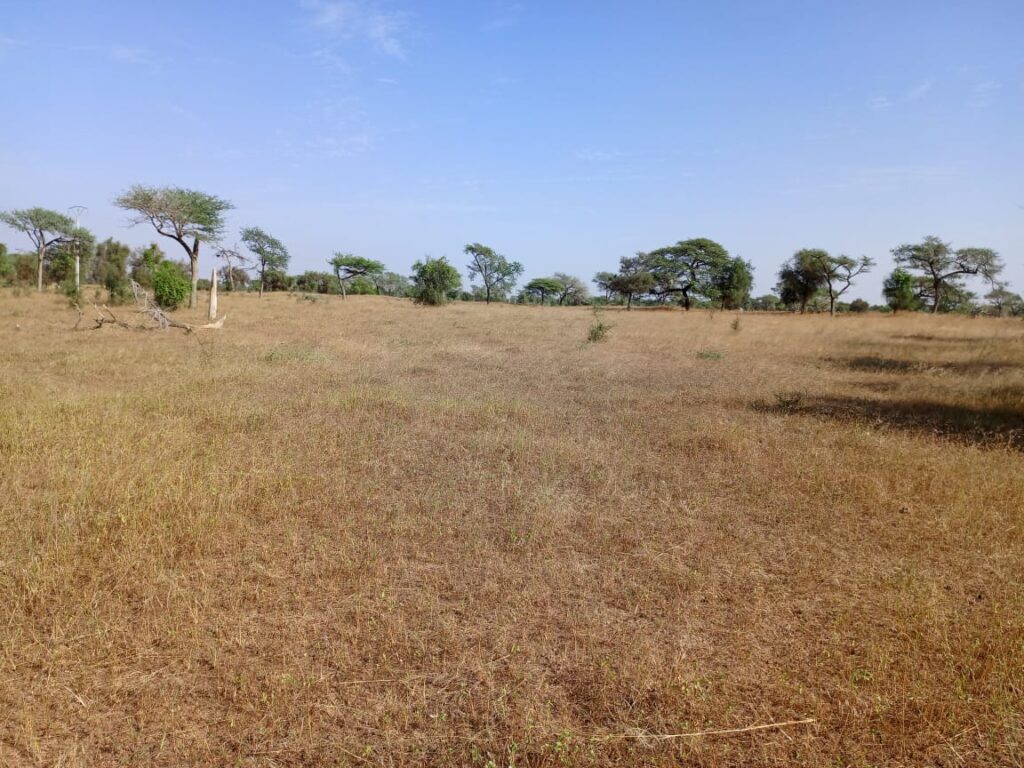 Terrain Industriel de 1,53 Hectare vers Sagatta – Kébémer