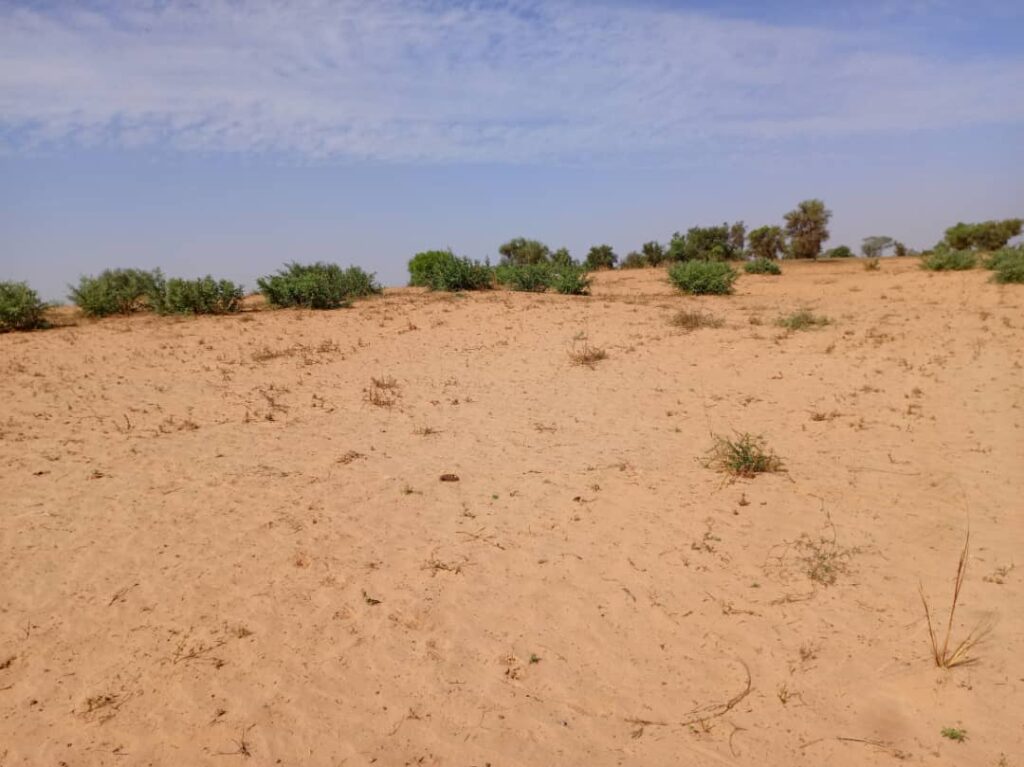 Terrain Agricole de 3,71 Hectares vers Sagatta – Kébémer